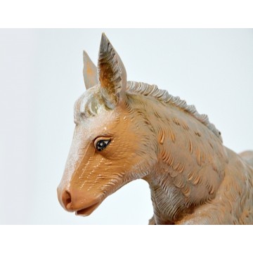 Asinello per Natività...