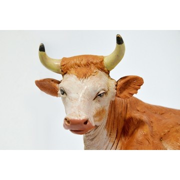 Natività per il Presepe...