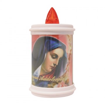 Lumino in Plastica Durata...