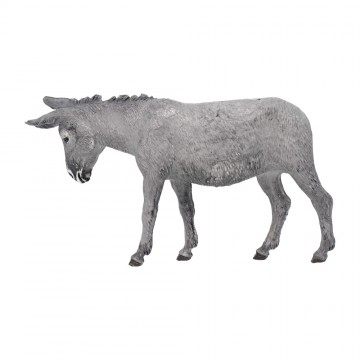 Asinello in Piedi per il...