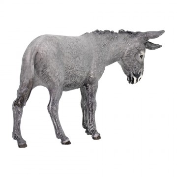 Asinello in Piedi per il...