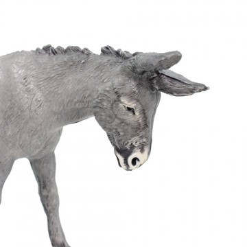 Asinello in Piedi per il...