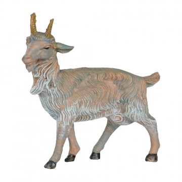 Caprette Fontanini 19 cm