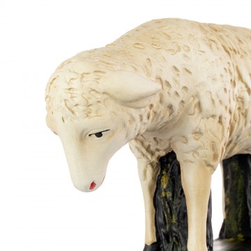 Pecora Chinata per il...