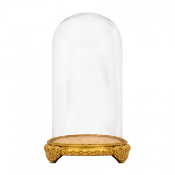 Campana in Vetro e Base...