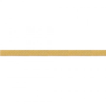 Gallone Oro Bordo per...