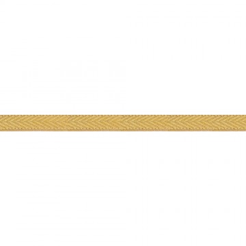 Gallone Oro Bordo per...