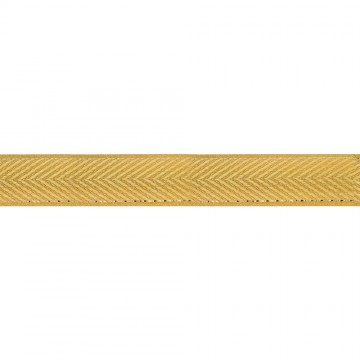 Gallone Oro Bordo per...