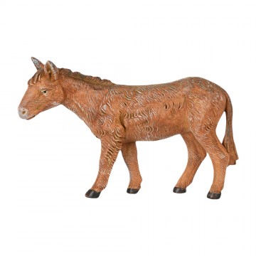 Asino per Natività...