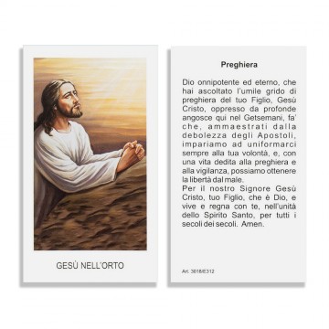 Immagine di Gesù Nell'Orto...