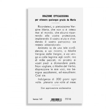 Immaginetta Madonna delle...