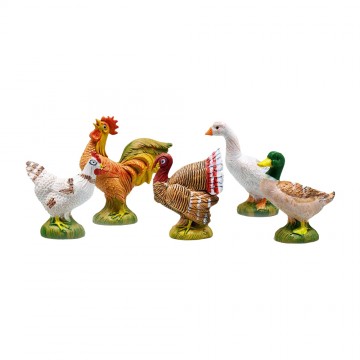 Gallinacei Fontanini