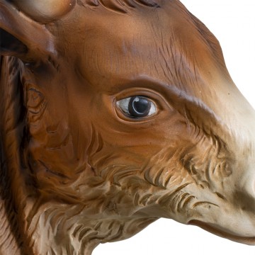 Asino e Bue per la Natività...