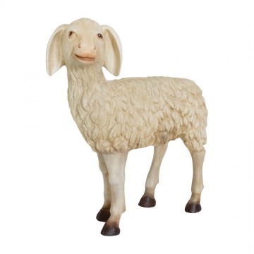 Agnello in Piedi per il...