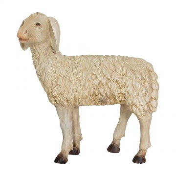 Agnello in Piedi per il...