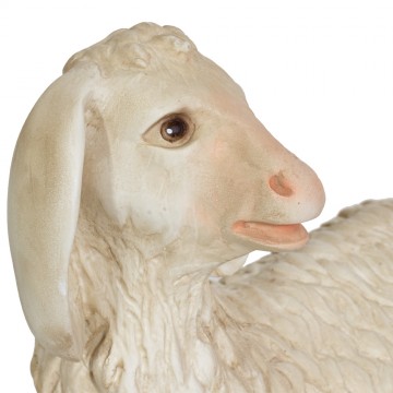 Agnello Seduto per il...