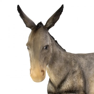 Asino e Bue per Natività in...