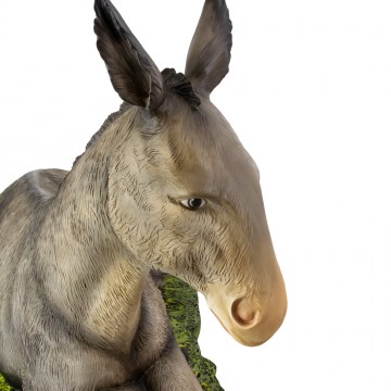 Asino e Bue per Natività in...