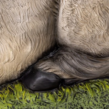 Asino e Bue per Natività in...