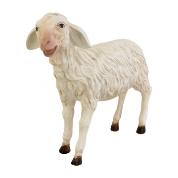 Agnello in Piedi per il...