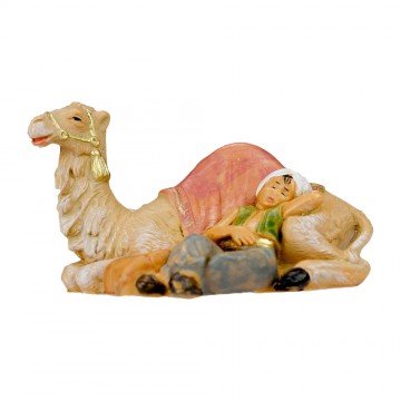 Cammelliere con Cammello...