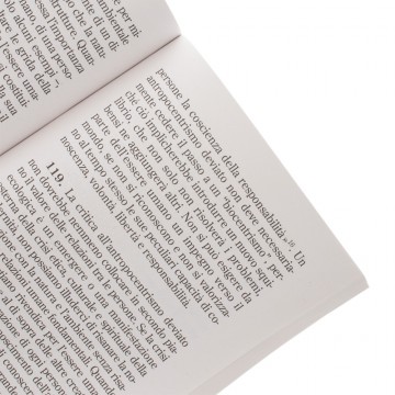 Laudato Si Papa Francesco