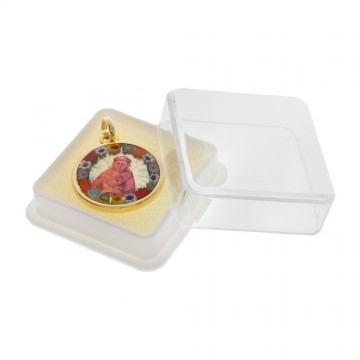 Medaglia San Francesco in...