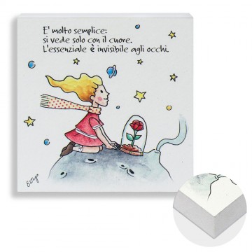 Quadretto Piccolo Principe...