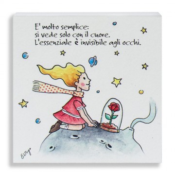 Quadretto Piccolo Principe...