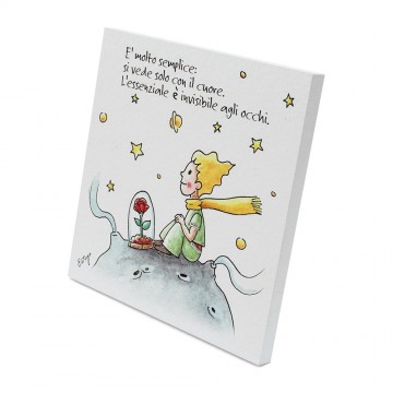 Quadro del Piccolo Principe...