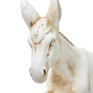Asino Presepe Euromarchi