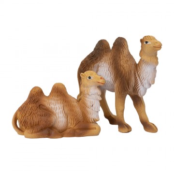 Cammelli in Plastica per...