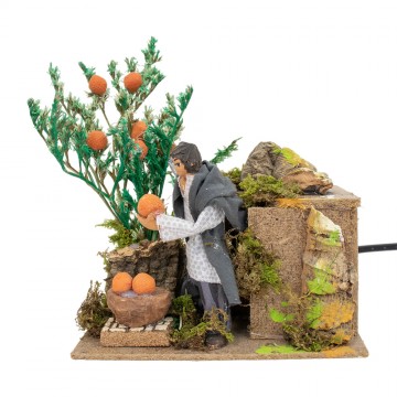 Raccoglitore di Arance Presepe in Movimento