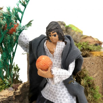 Raccoglitore di Arance Presepe in Movimento