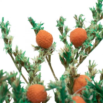 Raccoglitore di Arance Presepe in Movimento