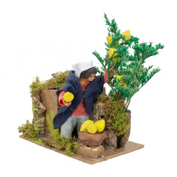 Raccoglitore di Limoni...