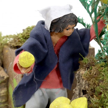Raccoglitore di Limoni...