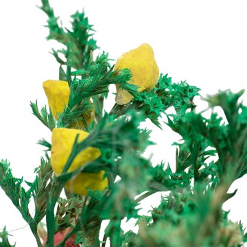 Raccoglitore di Limoni...