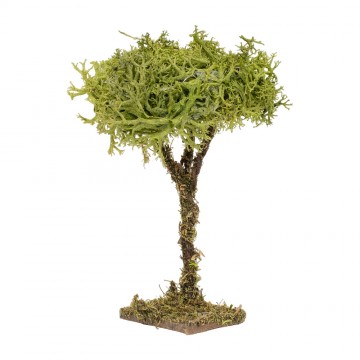 Albero Lichene 7 cm