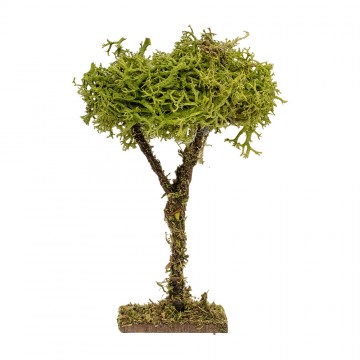 Albero Lichene 7 cm