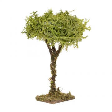 Albero Lichene 7 cm