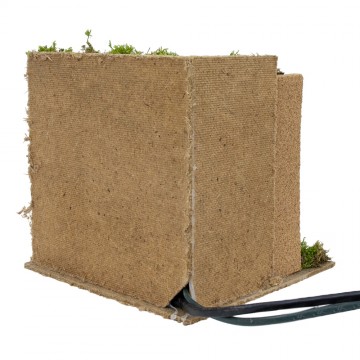 Fornaia Presepe in...