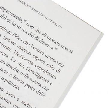 Papa Francesco Laudate Deum...