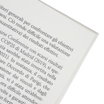 Papa Francesco Laudate Deum