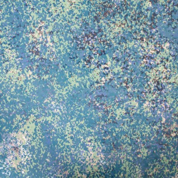 Carta Mare per Presepe