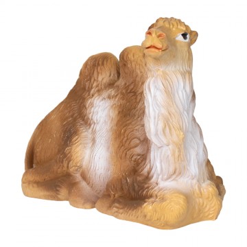 Cammelli Presepe per...