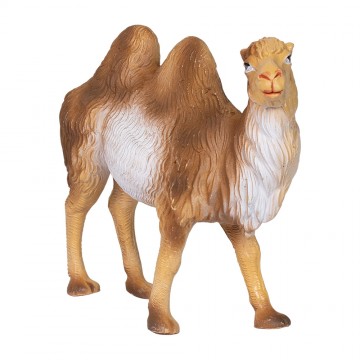 Cammelli Presepe per...