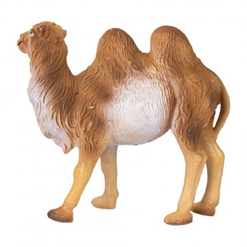 Cammelli Presepe per...