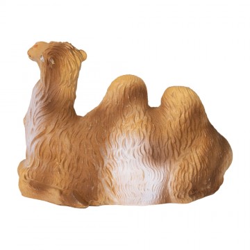 Cammelli Presepe per...