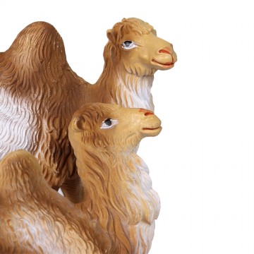 Cammelli Presepe per...